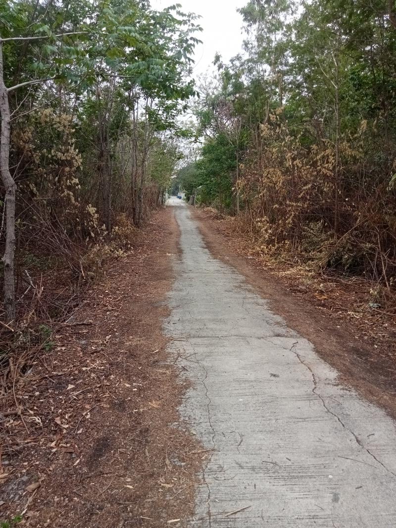 ที่ดินเปล่าถูกมาก ใกล้ชุมชน พระพุทธบาทสระบุรี 3.67 ไร่ 