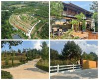 สวนทุเรียนขั้นบันได บ้านตากอากาศบนเขา พร้อมโฉนด! วิวหลักล้าน 11ไร่ อ.มะขาม จัน