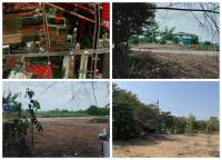 ขายที่ดินแปลงใหญ่ 16ไร่ 2งาน 77ตร.วา - ลาดหลุมแก้ว ปทุมธานี โทร 090-8982918 ราคา