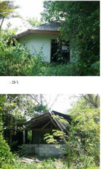 https://www.ohoproperty.com/73781/ธนาคารกรุงไทย/ขายที่ดินพร้อมสิ่งปลูกสร้าง/หนองหงส์/ทุ่งสง/นครศรีธรรมราช/