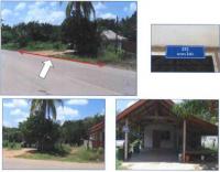https://www.ohoproperty.com/79006/ธนาคารกรุงไทย/ขายที่ดินพร้อมสิ่งปลูกสร้าง/ห้วยน้ำขาว/คลองท่อม/กระบี่/