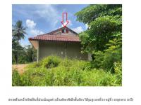 https://www.ohoproperty.com/194183/ธนาคารออมสิน/ขายที่ดินพร้อมสิ่งปลูกสร้าง/ห้วยน้ำขาว/คลองท่อม/กระบี่/