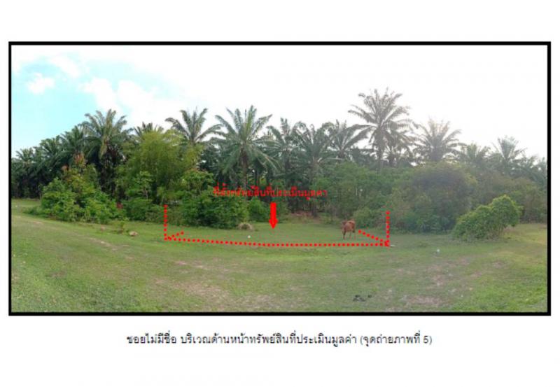คลองพน คลองท่อม กระบี่