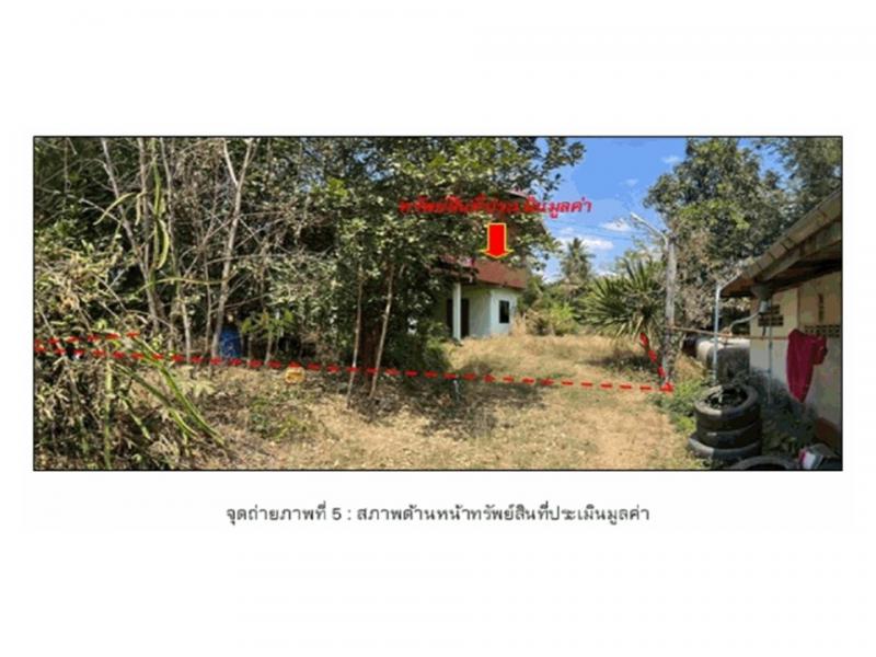ตะคุ ปักธงชัย นครราชสีมา