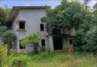 https://www.ohoproperty.com/167350/ธนาคารอาคารสงเคราะห์/ขายบ้านเดี่ยว/สำนักแต้ว/สะเดา/สงขลา/