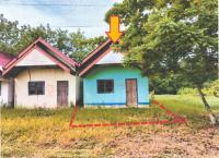 บ้านเดี่ยวหลุดจำนอง ธ.ธนาคารอาคารสงเคราะห์ หนองไผ่ หนองไผ่ เพชรบูรณ์