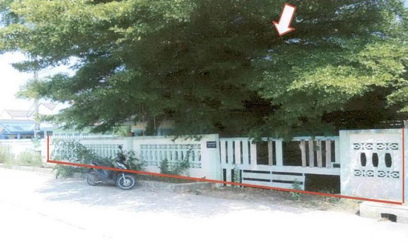 ชะแมบ วังน้อย พระนครศรีอยุธยา