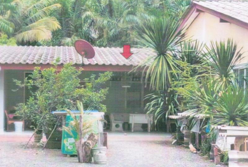 นาท่ามเหนือ เมืองตรัง ตรัง