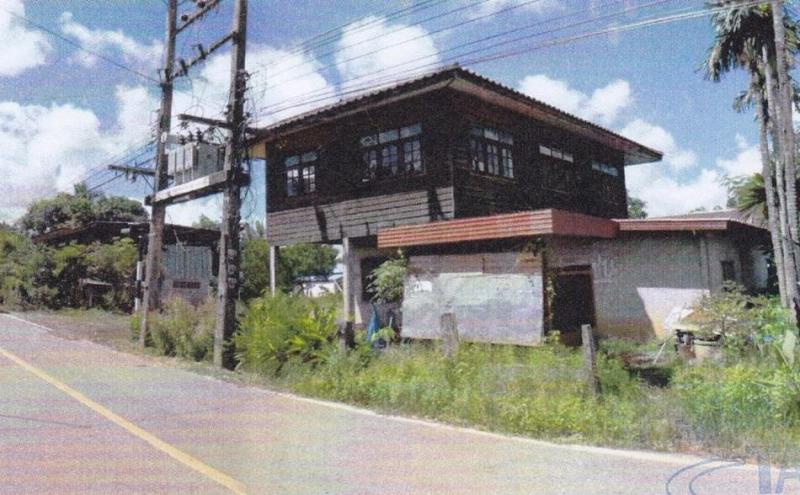 นาชุมแสง ทุ่งฝน อุดรธานี