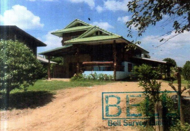 เมืองไผ่ หนองกี่ บุรีรัมย์