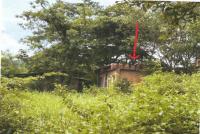 บ้านเดี่ยวหลุดจำนอง ธ.ธนาคารอาคารสงเคราะห์ นางั่ว เมืองเพชรบูรณ์ เพชรบูรณ์