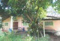 บ้านเดี่ยวหลุดจำนอง ธ.ธนาคารอาคารสงเคราะห์ เชียงเพ็ง ป่าติ้ว ยโสธร