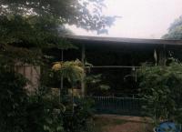 บ้านเดี่ยวหลุดจำนอง ธ.ธนาคารอาคารสงเคราะห์ ร้องเข็ม ร้องกวาง แพร่