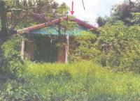 บ้านเดี่ยวหลุดจำนอง ธ.ธนาคารอาคารสงเคราะห์ ท่าข้าม ชนแดน เพชรบูรณ์
