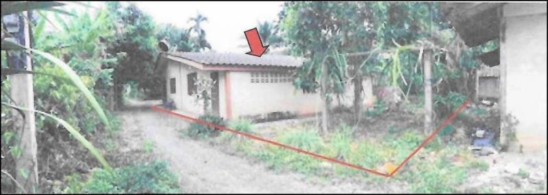 ช้างขวา กาญจนดิษฐ์ สุราษฎร์ธานี