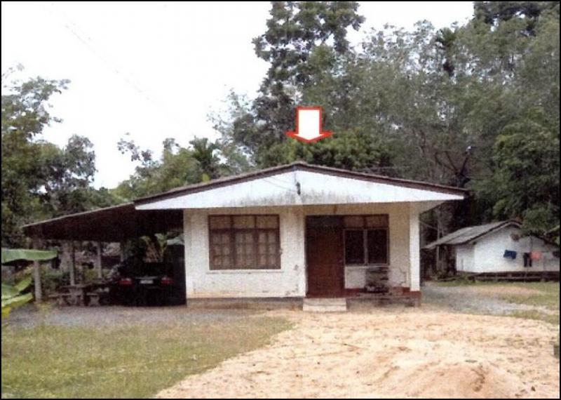 นาโหนด เมืองพัทลุง พัทลุง