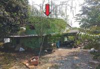บ้านเดี่ยวหลุดจำนอง ธ.ธนาคารอาคารสงเคราะห์ เขาดินพัฒนา เฉลิมพระเกียรติ สระบุรี