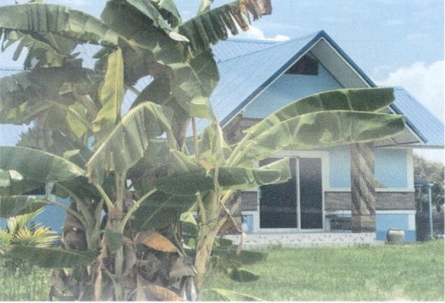 ต้า ขุนตาล เชียงราย