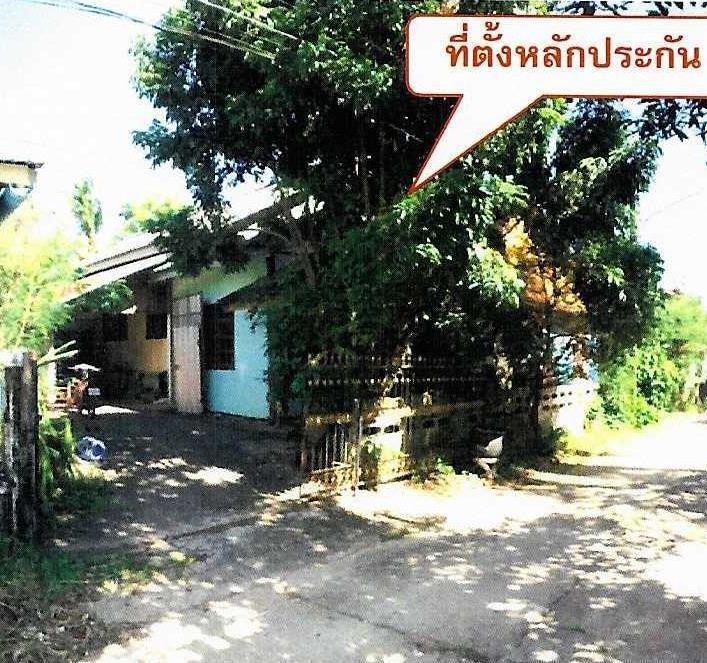 นากั้ง  หนองคาย