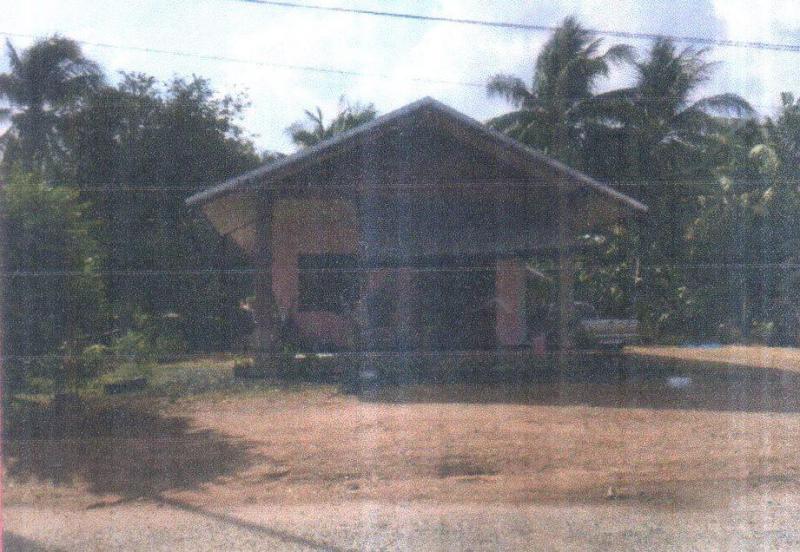 สะเดา นางรอง บุรีรัมย์