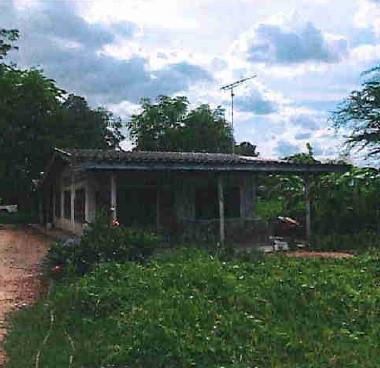 ทุ่งลูกนก กำแพงแสน นครปฐม