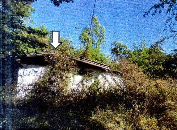 หนองกี่ หนองกี่ บุรีรัมย์