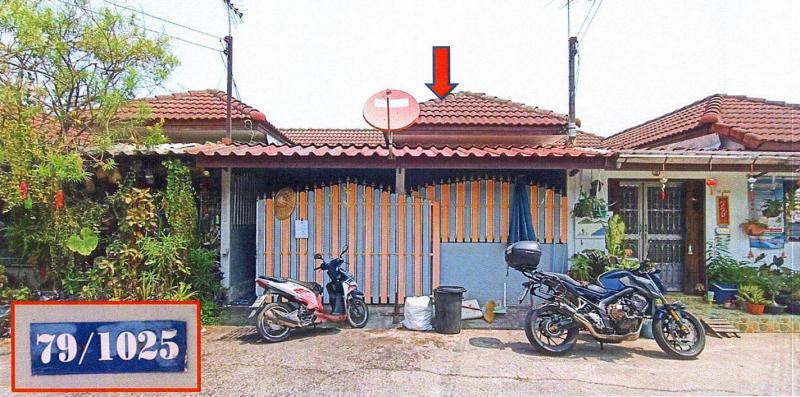 ลำผักกูด(คลองฝั่งใต้) ธัญบุรี ปทุมธานี