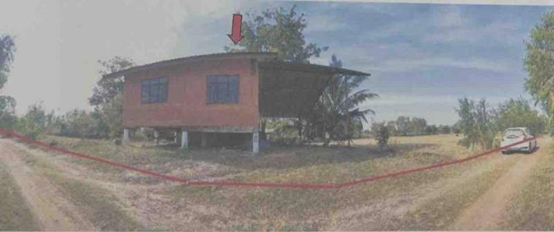 หนองบัว กันทรารมย์ ศรีสะเกษ