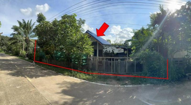 กระโสบ เมืองอุบลราชธานี อุบลราชธานี