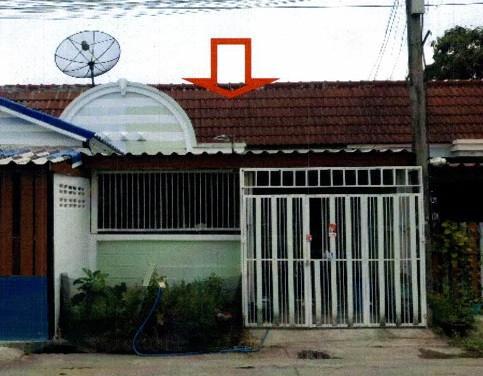 ลำผักกูด(คลองฝั่งใต้) ธัญบุรี ปทุมธานี