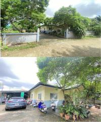 https://www.ohoproperty.com/194953/ธนาคารอาคารสงเคราะห์/ขายบ้านเดี่ยว/โพธิ์กลาง/เมืองนครราชสีมา/นครราชสีมา/