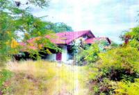 บ้านเดี่ยวหลุดจำนอง ธ.ธนาคารอาคารสงเคราะห์ เจริญสุข เฉลิมพระเกียรติ บุรีรัมย์