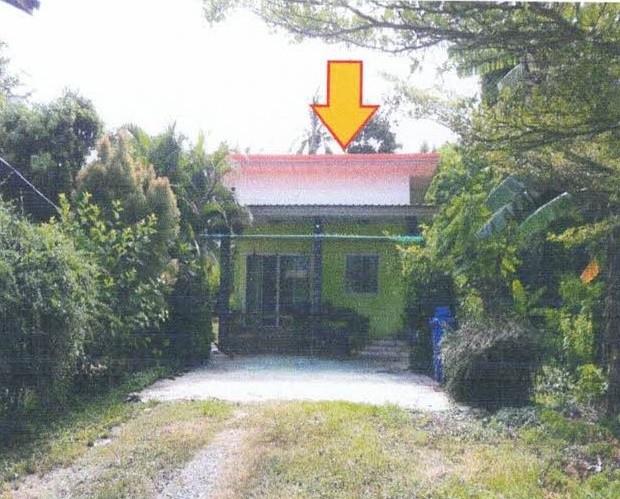 นาป่า เมืองเพชรบูรณ์ เพชรบูรณ์