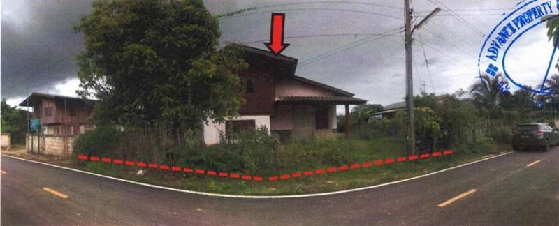 สันมะค่า ป่าแดด เชียงราย