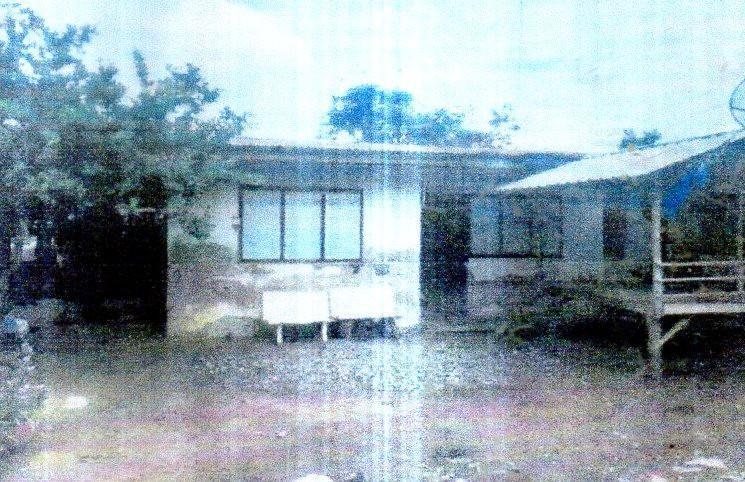 ทุ่งกระเต็น หนองกี่ บุรีรัมย์