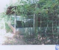 บ้านเดี่ยวหลุดจำนอง ธ.ธนาคารอาคารสงเคราะห์ คอนสาย ตระการพืชผล อุบลราชธานี