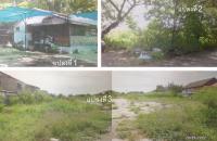 บ้านเดี่ยวหลุดจำนอง ธ.ธนาคารอาคารสงเคราะห์ สายไหม บางเขน กรุงเทพมหานคร