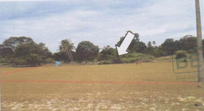 ดอนทราย ไม้แก่น ปัตตานี