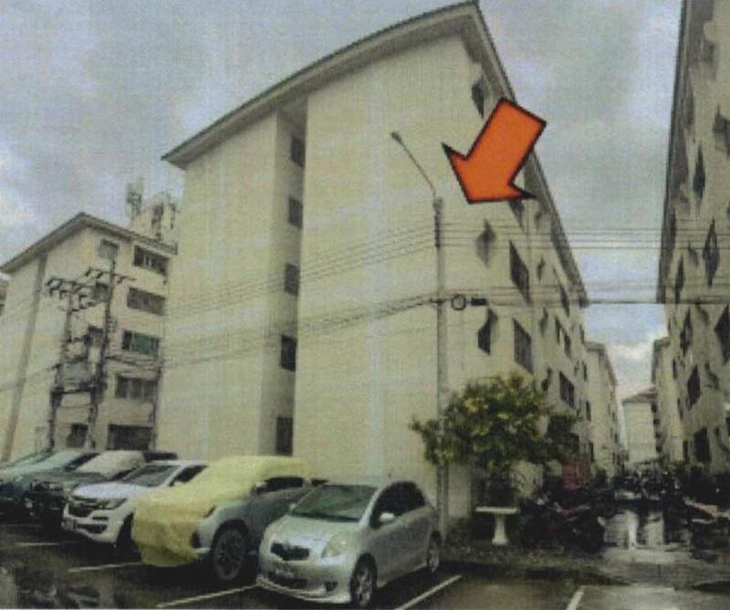 ศีรษะจรเข้ใหญ่ บางเสาธง สมุทรปราการ