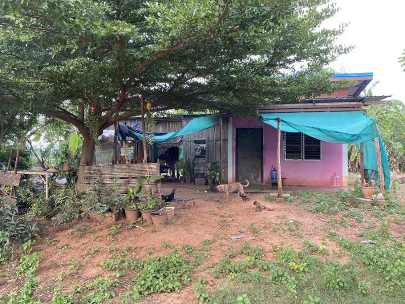 กฤษณา สีคิ้ว นครราชสีมา