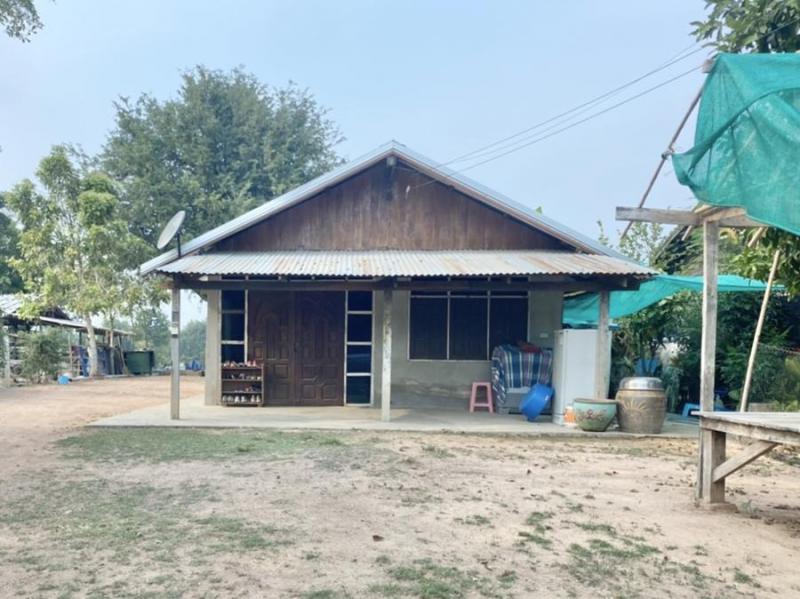 หลุ่งตะเคียน ห้วยแถลง นครราชสีมา