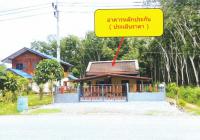 https://www.ohoproperty.com/217111/ธนาคารอาคารสงเคราะห์/ขายบ้านเดี่ยว/หลักช้าง//นครศรีธรรมราช/