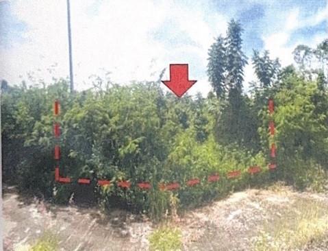 แม่สอย จอมทอง เชียงใหม่