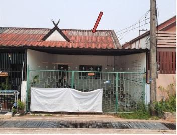 ต้นธงชัย เมืองลำปาง ลำปาง