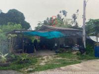 https://www.ohoproperty.com/219939/ธนาคารอาคารสงเคราะห์/ขายบ้านเดี่ยว/วังไผ่/เมืองชุมพร/ชุมพร/