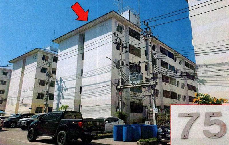 ศีรษะจรเข้ใหญ่ บางเสาธง สมุทรปราการ