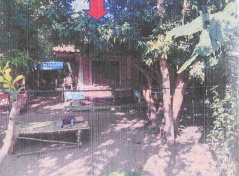 ทาสบเส้า แม่ทา ลำพูน