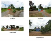 บ้านเดี่ยวหลุดจำนอง ธ.ธนาคารอาคารสงเคราะห์ มะกอก ป่าซาง ลำพูน