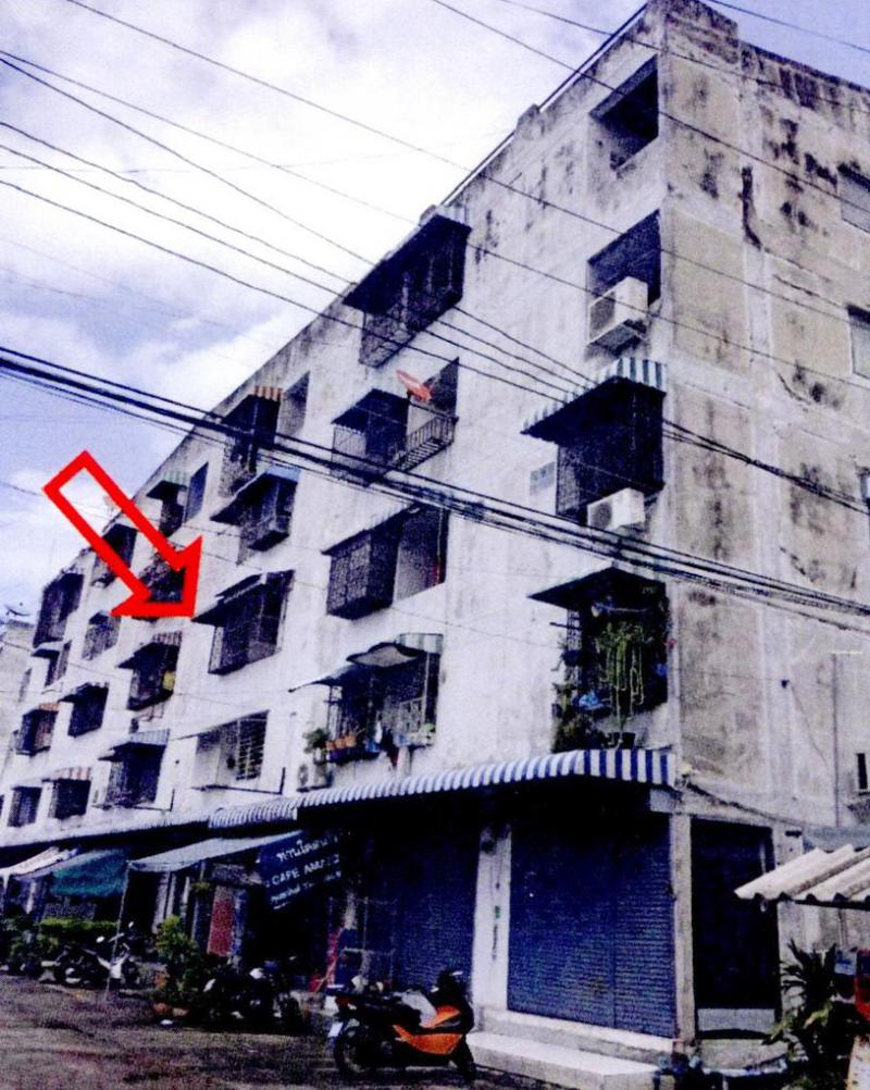 จรเข้บัว ลาดพร้าว กรุงเทพมหานคร