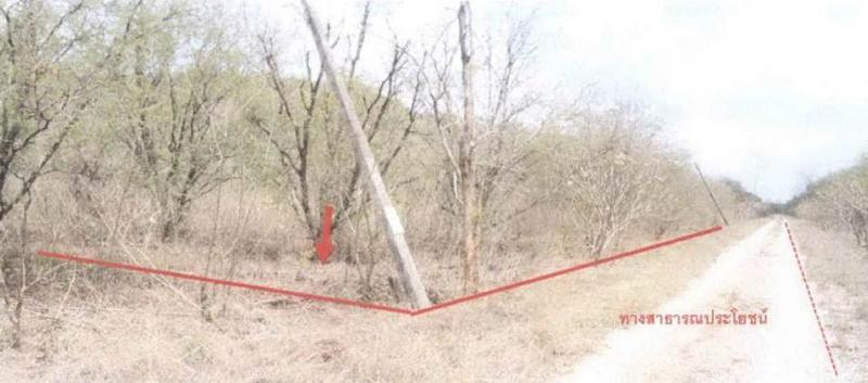 วังด้ง เมืองกาญจนบุรี กาญจนบุรี